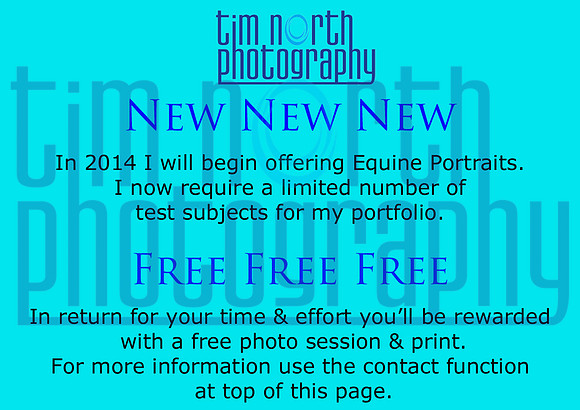 Equine Port web flyer