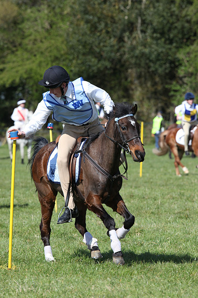 TNP_1402321