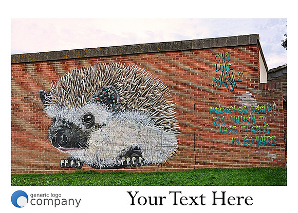 TNP Streetart- 2017 Calendar-18 SEP