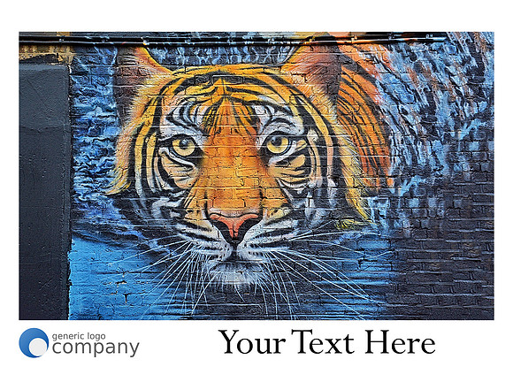 TNP Streetart- 2017 Calendar-22 NOV