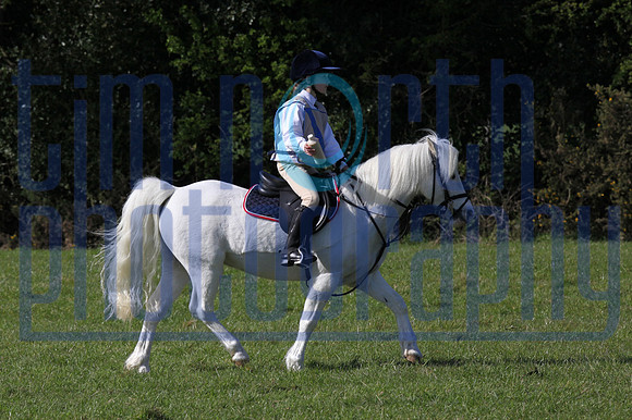 TNP_1401889