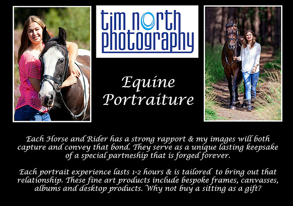 Equine Port flyer WEB