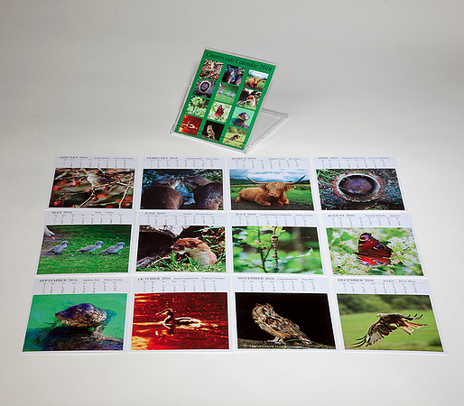 Wildlife Standard set