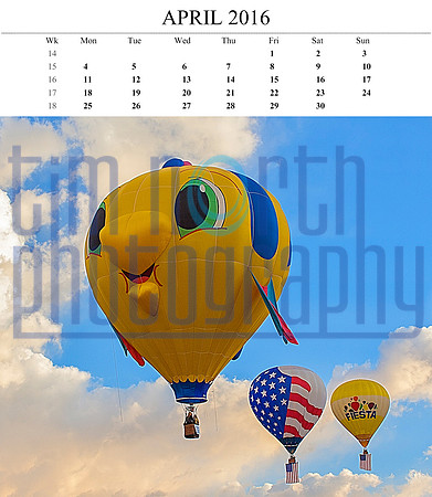 04 April 2016 14x12 balloon