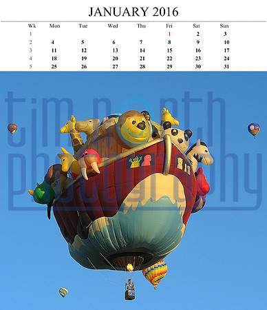 01 Jan 2016 14x12 balloon