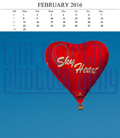 02 Feb 2016 14x12 balloon