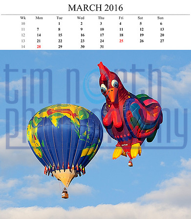 03 Mar 2016 14x12 balloon