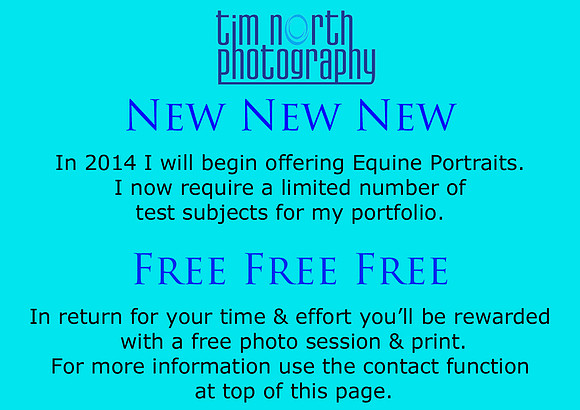 Equine Port web flyer