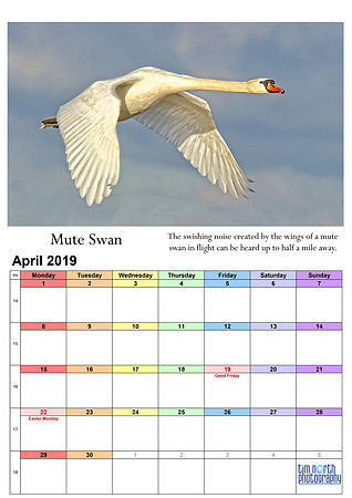 04 Apr 2019 A4 TNP Wall Calendar
