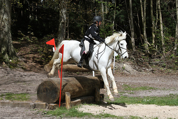TNP_1402487B