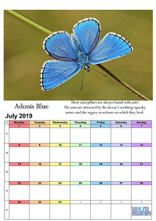 07 July 2019 A4 TNP Wall Calendar UPDATE