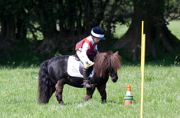 TNP_1403649