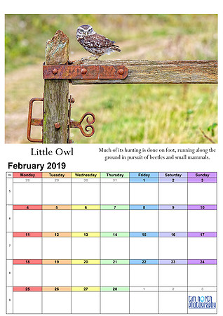 02 Feb 2019 A4 TNP Wall Calendar