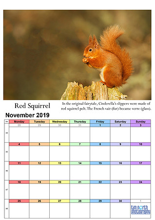11 Nov 2019 A4 TNP Wall Calendar