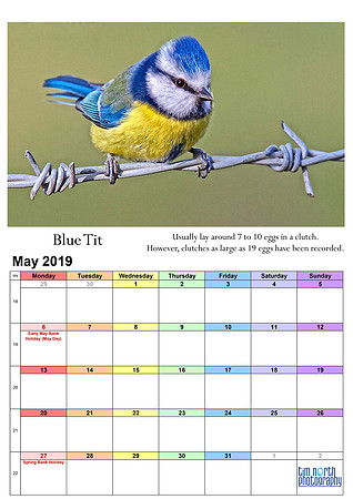05 May 2019 A4 TNP Wall Calendar