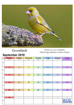 09 Sep 2019 A4 TNP Wall Calendar UPDATE