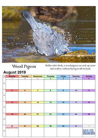 08 Aug 2019 A4 TNP Wall Calendar UPDATE