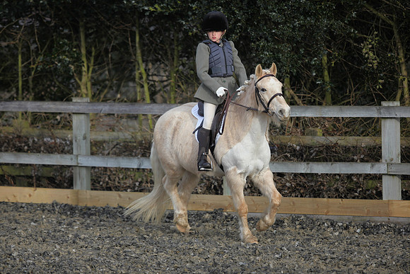 TNP_1407295