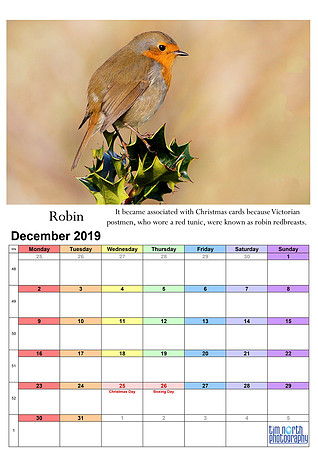 12 Dec 2019 A4 TNP Wall Calendar UPDATE